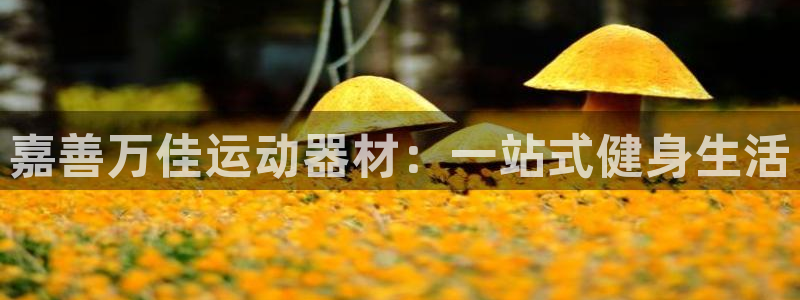 yy易游体育官网下载平台假的吗是真的吗：嘉善万佳运动