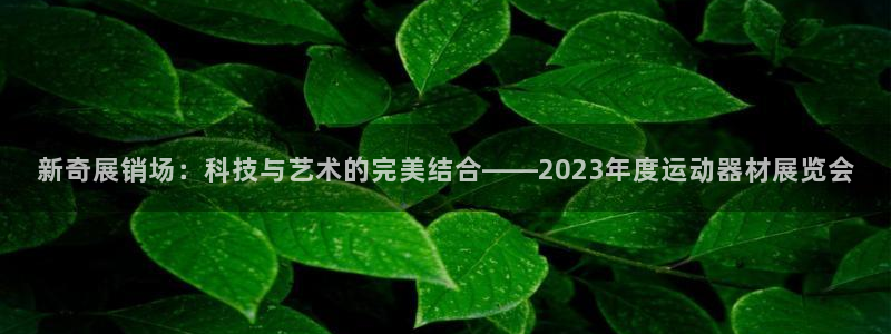 yy易游体育官网下载平台APP：新奇展销场：科技与艺