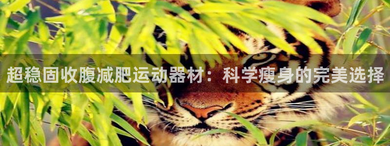 yy易游体育官网下载联系电话：超稳固收腹减肥运动器材：科学瘦