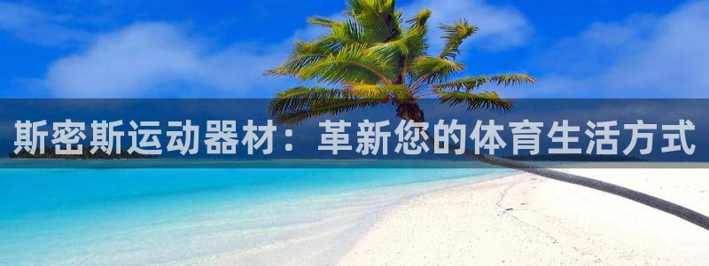 yy易游体育官网下载平台假的吗是真的吗吗：斯密斯运动器材：革