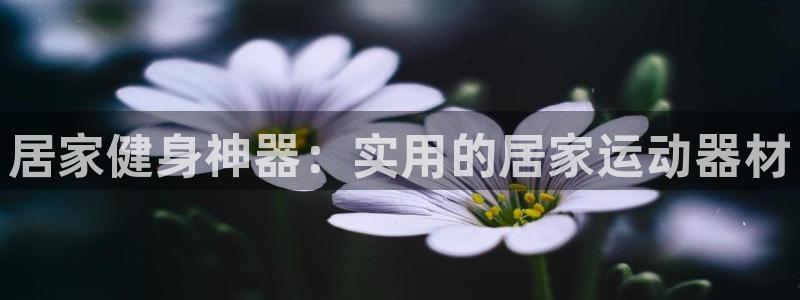 yy易游体育官方正版app娱乐是那个系列的台子：居家健身神器