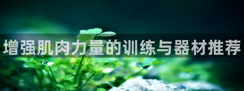 yy易游体育官网下载招商电话：增强肌肉力量的训练与器材推荐