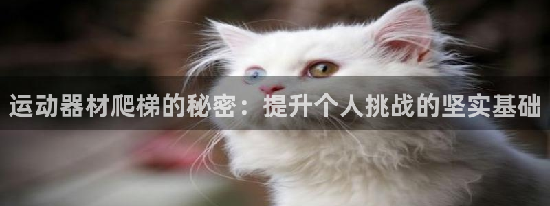 yy易游体育官网下载平台是正规平台吗知乎