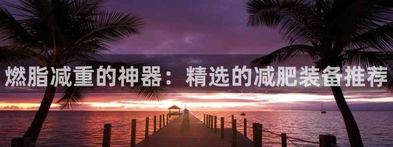 德国yy易游体育官方正版app集团：燃脂减重的神器：精选的减