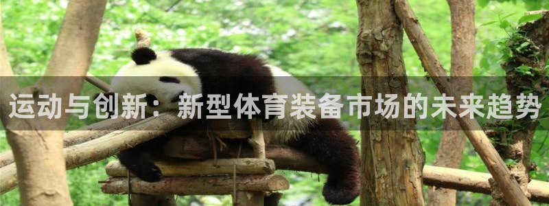 yy易游体育官网下载联系电话：运动与创新：新型体育装备市场的
