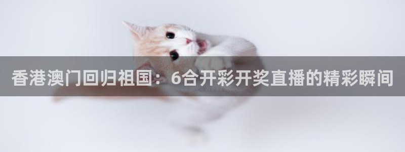 直播吧8直播足球