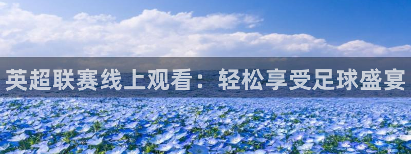nba直播吧24：英超联赛线上观看：轻松享受足球盛宴