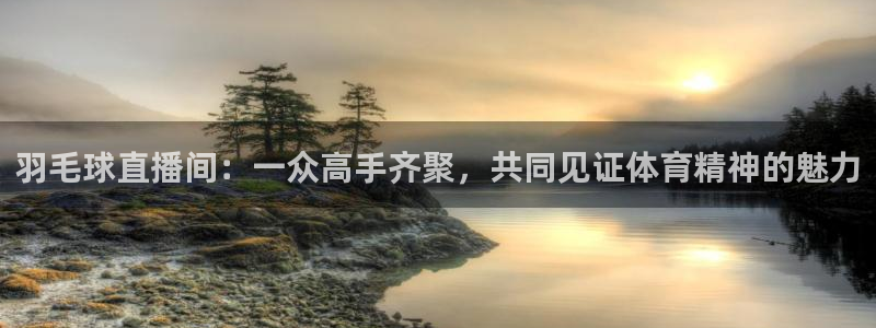 直播吧新足球直播：羽毛球直播间：一众高手齐聚，共同见证体育精神的魅力