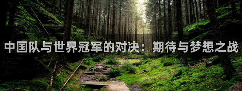 24足球直播吧官网：中国队与世界冠军的对决：期待与梦想之战
