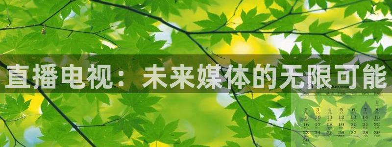 体育直播吧手机版官网：直播电视：未来媒体的无限可能