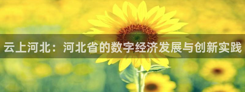 nba直播吧98：云上河北：河北省的数字经济发展与创新实践